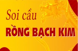 Rồng Bạch Kim - Soi cầu 247 rồng bạch kim miền bắc miễn phí