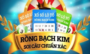 Soi cầu rồng bạch kim ngày 09/10/2024 chính xác 100