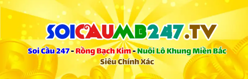 Soi Cầu MB 247