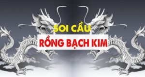 Soi cầu Rồng Bạch Kim ngày 07/10/2024