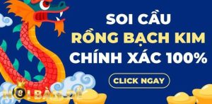 Soi cầu Rồng Bạch Kim ngày 24/11/2024